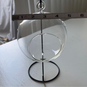Air plant glass globe holder